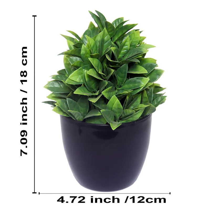 Faux Sherry Plant With Black Plastic Pot - Set Of Three media 3
