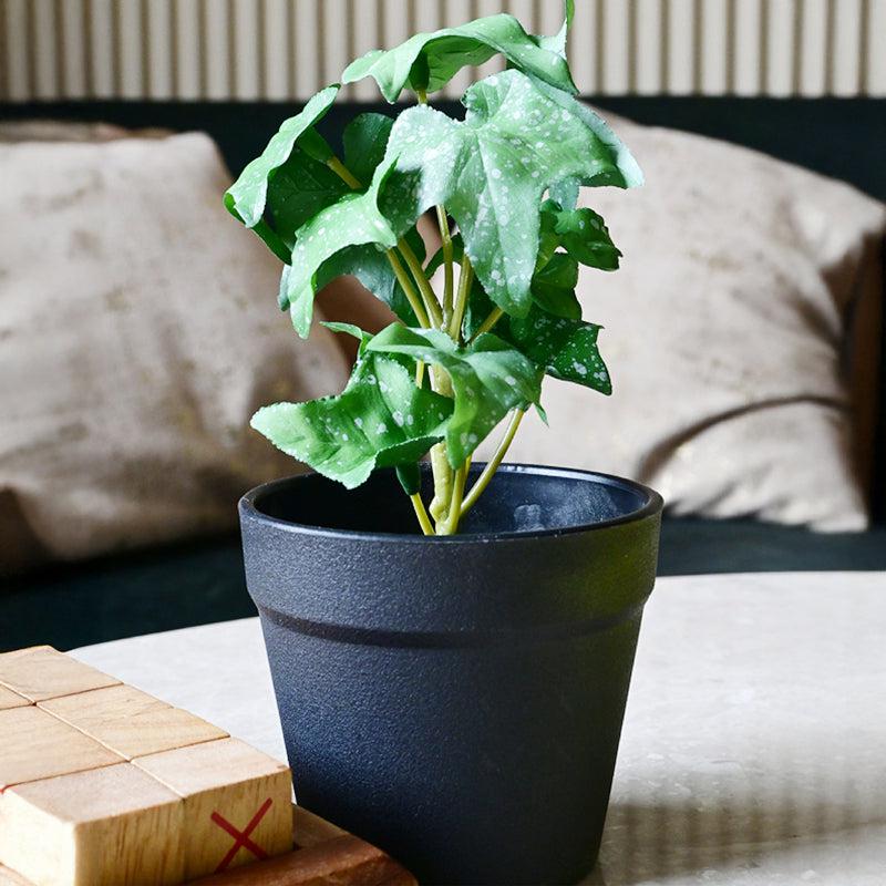 Ivette Artificial Mini Ivy Plant With Basic Black Plastic Pot (Green) - 16 cm media 4