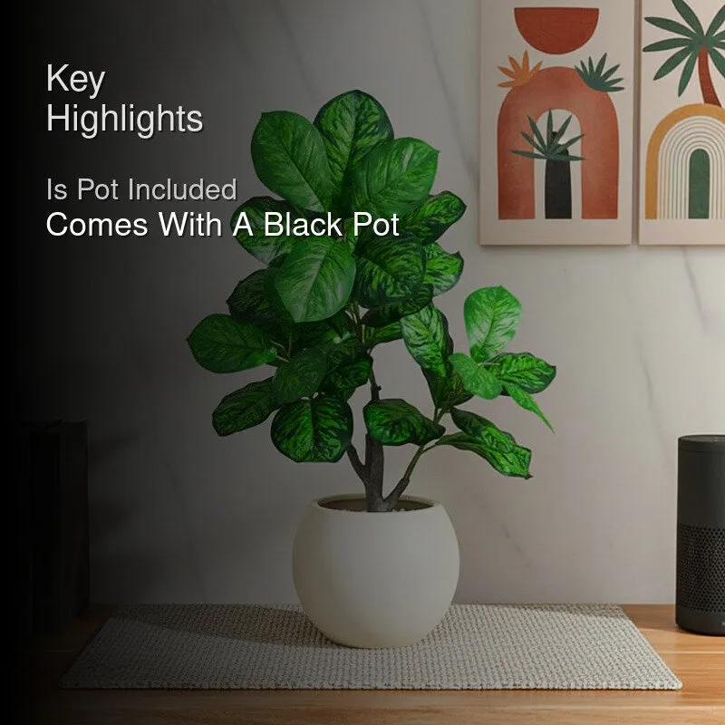 Faux Everlasting Dieffenbachia Seguine Plant With Black Plastic Pot - 95 cm (3.1 ft) - 2