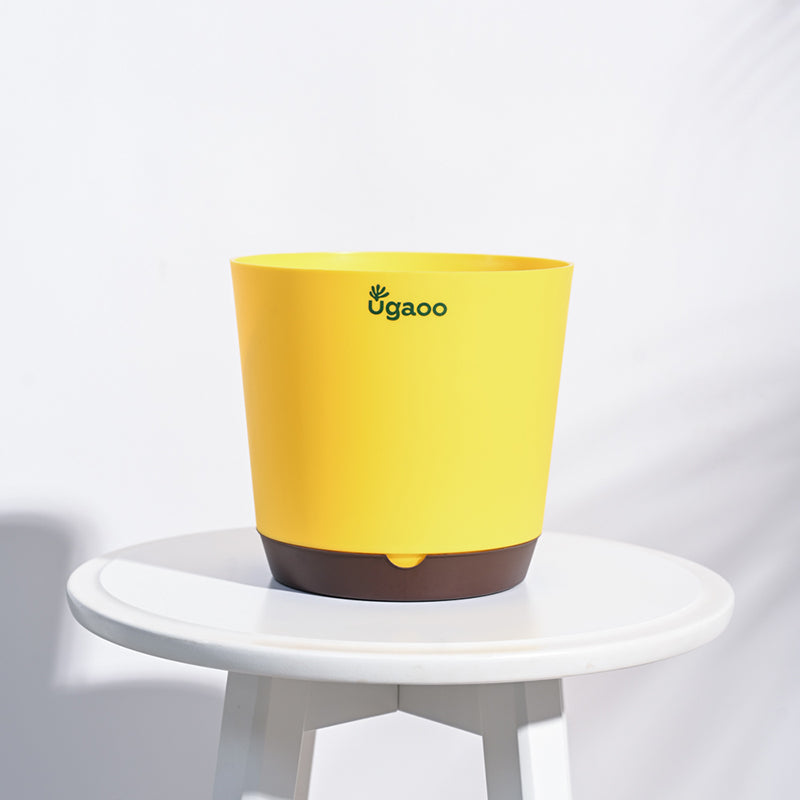 Ugaoo Mossy Bottom Plastic Planter (Yellow) - Set Of Five media 4