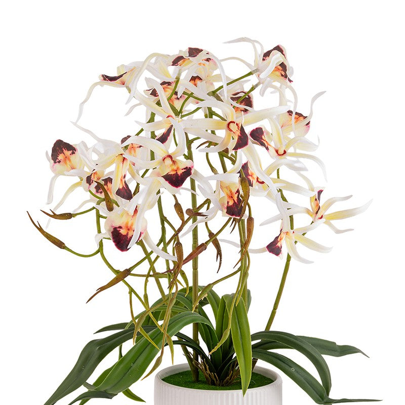 AarviDecor Classic Bloom Silk Artificial Plants media 6