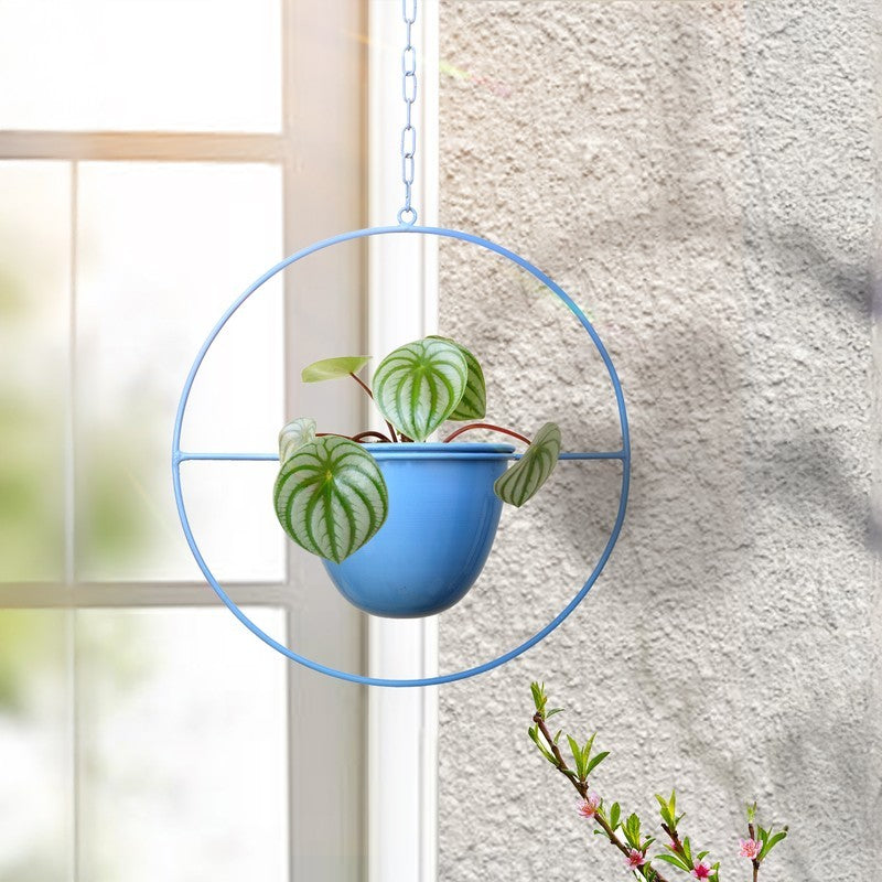 Designer Planters Elegant Indoor Plant Pots