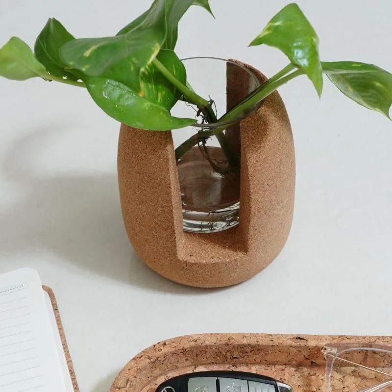 Nadae Cork Testube Planter media 4