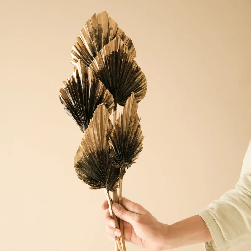Dried Dual Tone Palm Leaf (Golden Black) - Set Of Five media 3