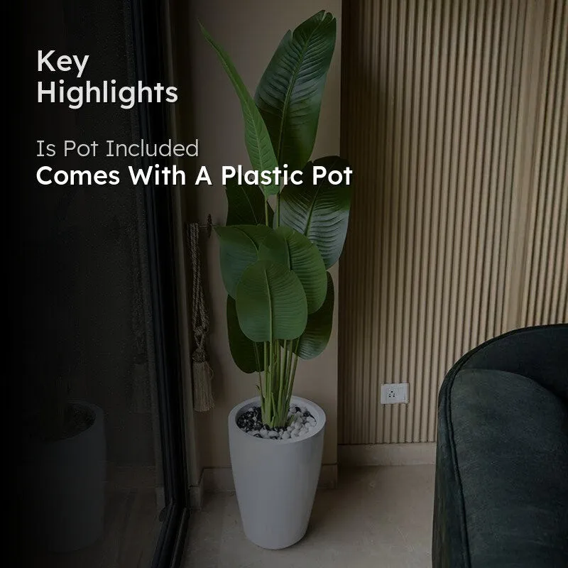 Tropibana Artificial Bird Of Paradise With Black Plastic Pot - 157 cm (5.2 ft) media 2