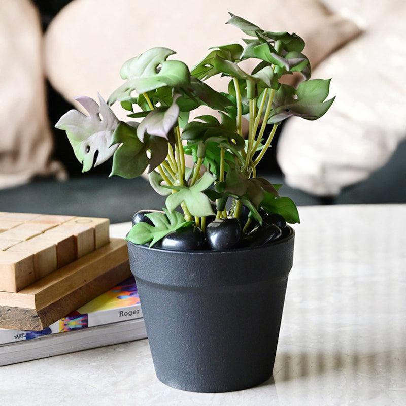 Minstera Artificial Mini Monstera Plant With Black Plastic Pot - Purple & Green media 3