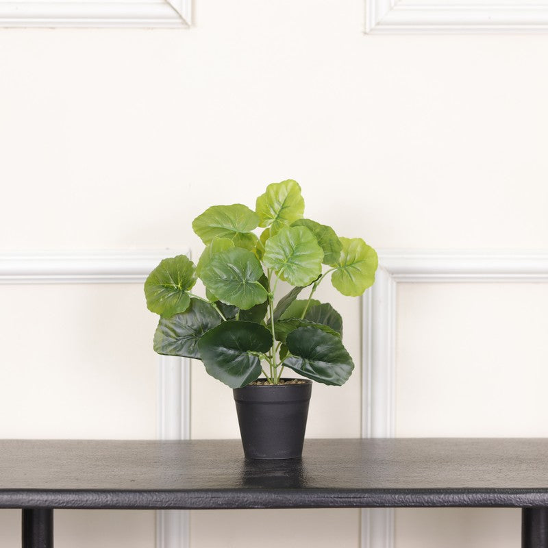 Artificial Grape Ivy Plant With Black Fiber Pot - 0.9 Feet media 3