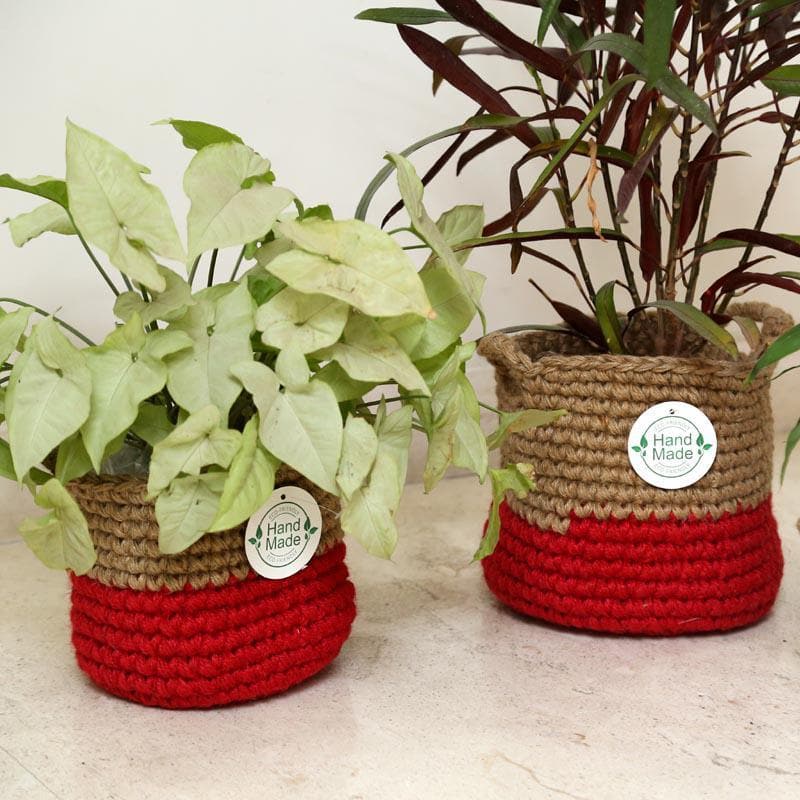 Nature's Haven Jute Planter media 6