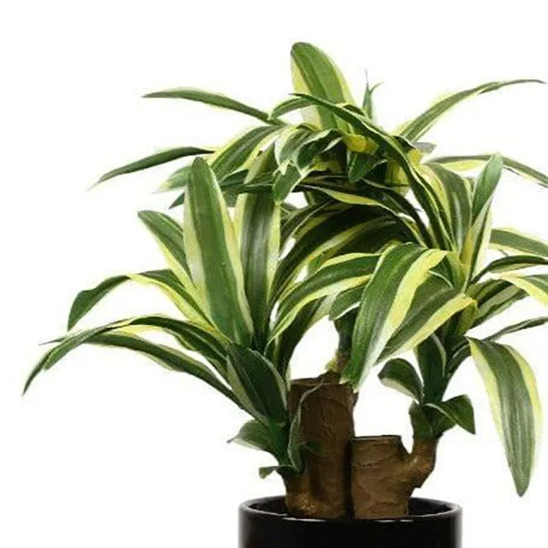 Faux Dracaena Bonsai (35 cms) - Yellow & Green media 3