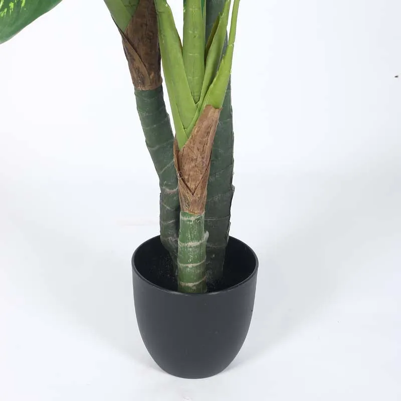 Faux Lush Dieffenbachia Plant With Black Plastic Pot - 2.0 Feet media 5