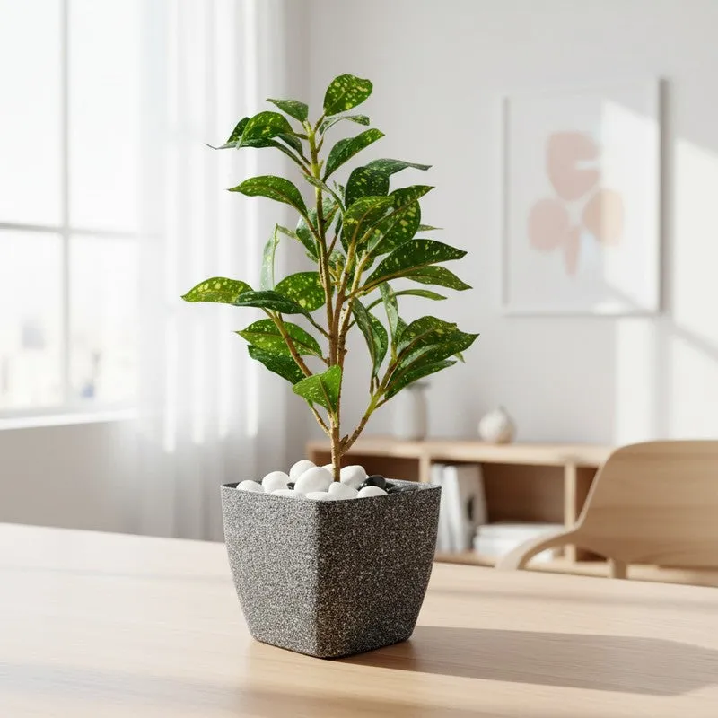 Monvia Plastic Garden Planter - Grey media 2