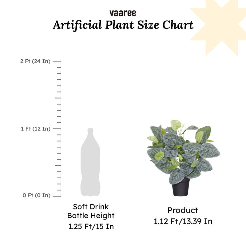 Artificial Nerve Plant With Black Fiber Pot - 1 Feet media 7