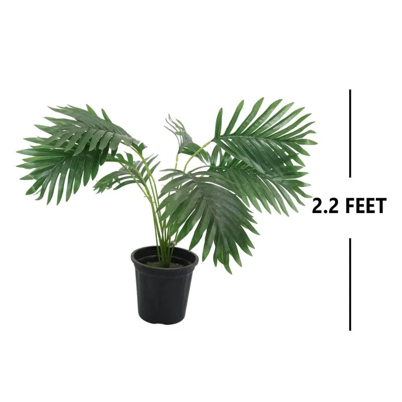 PlushPetal Artificial Areca Plant With Black Plastic Pot - 2.1 Feet media 7