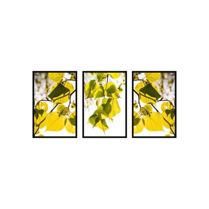 Sunkissed Wall Art - Set Of Three media 4