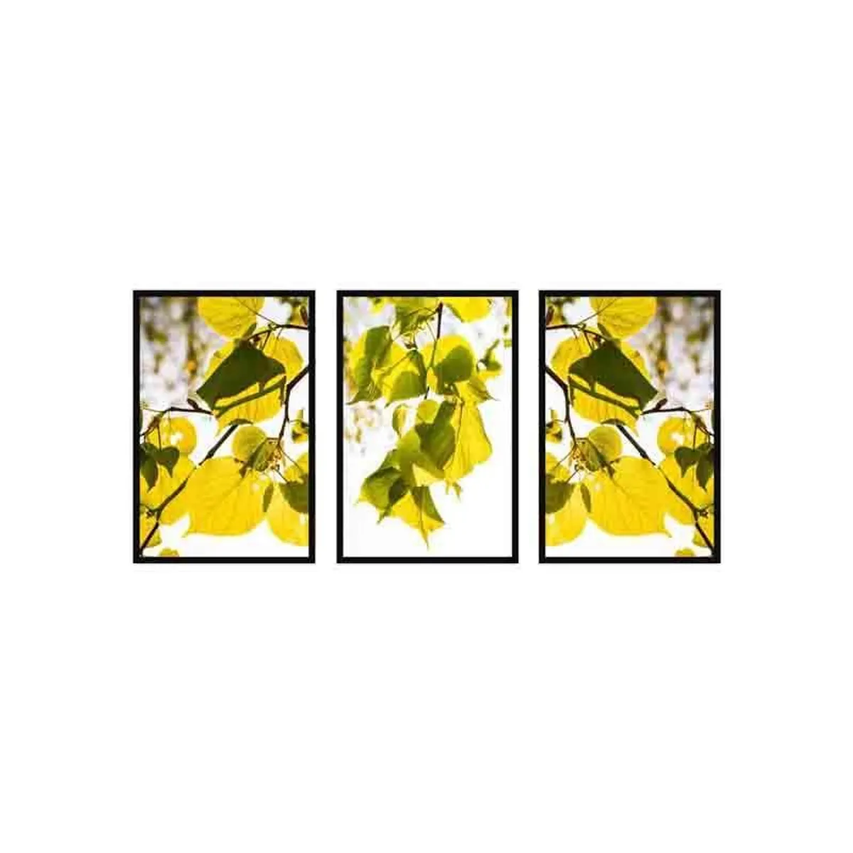 Front view of three framed botanical leaf wall art panels