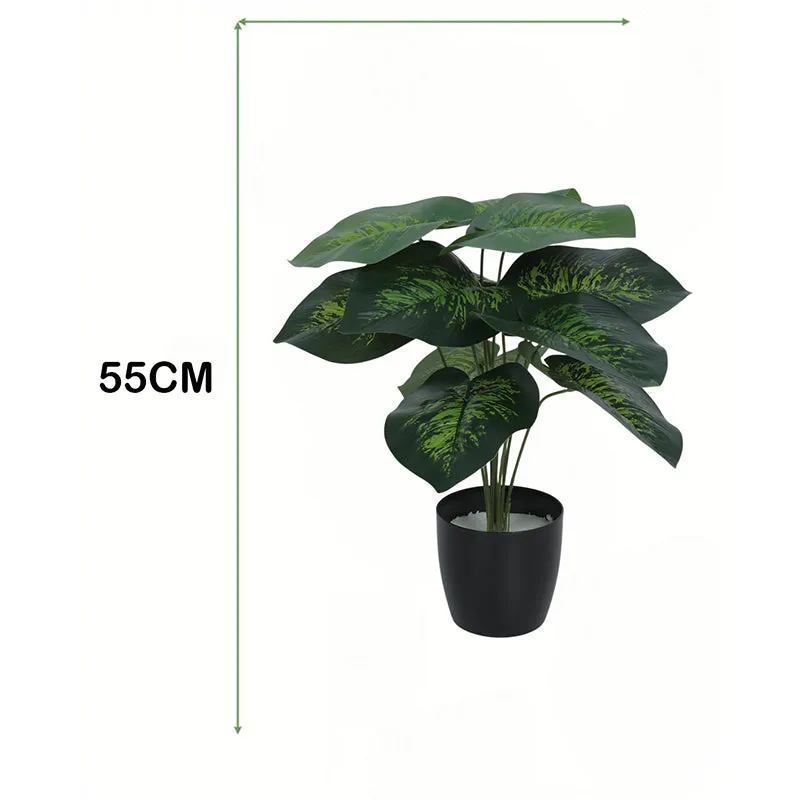 Diora Artificial Green Dieffenbachia With Black Plastic Pot - 1.8 Feet media 5