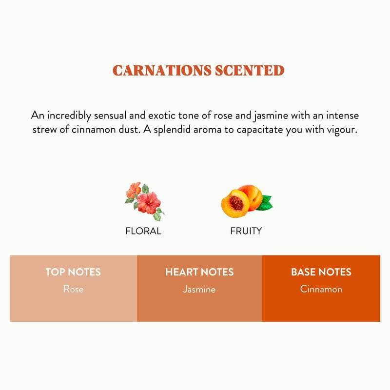 Overthinkers - Carnations Scented Candle media 8