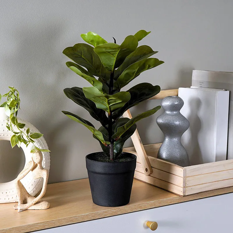 Fidelia Artificial Fiddle Fig Plant - 1 Feet media 1