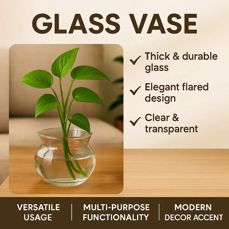 Product information graphic showing a clear glass vase with green cuttings.