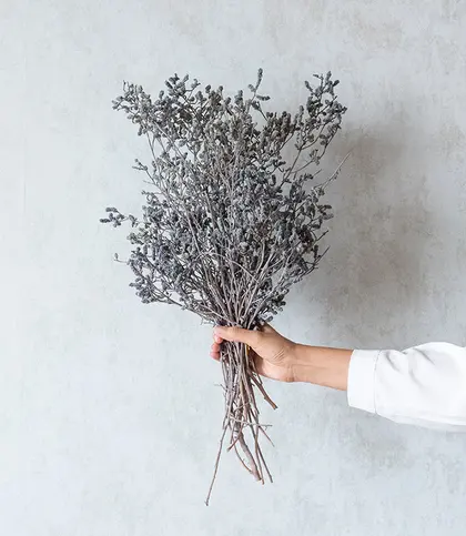 Dried Flowers & Leaves