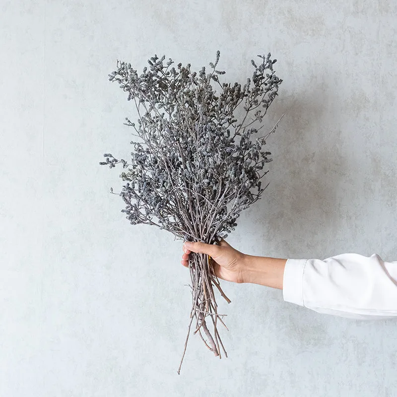 Ariel Dried Statice Flower Bunch - Grey media 1