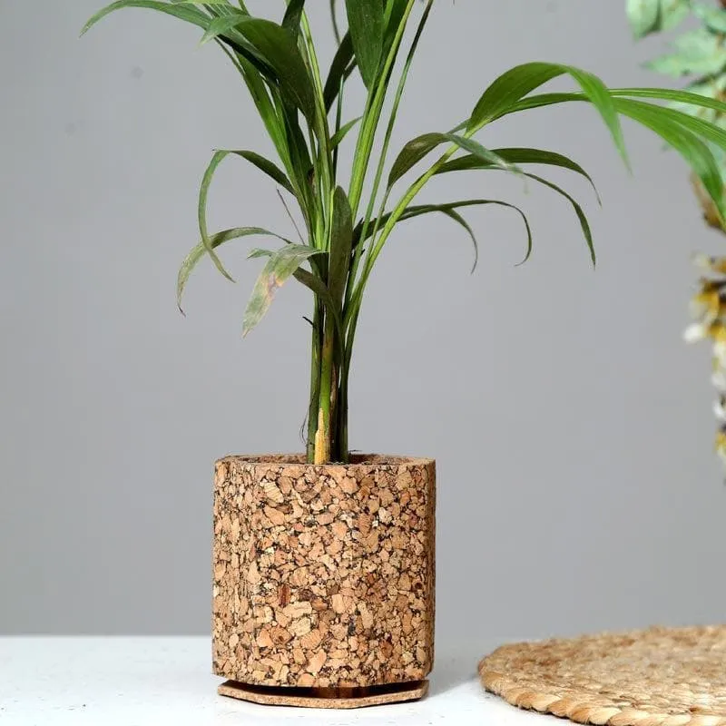 Earthy Haven Planter media 3