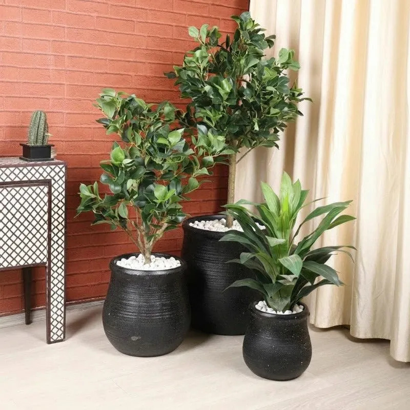 Black planters arranged with plants in a bright balcony setting
