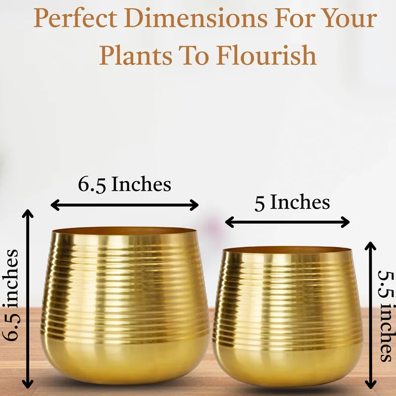 Auric Metal Golden Ribbed Planter - Set Of Two media 7