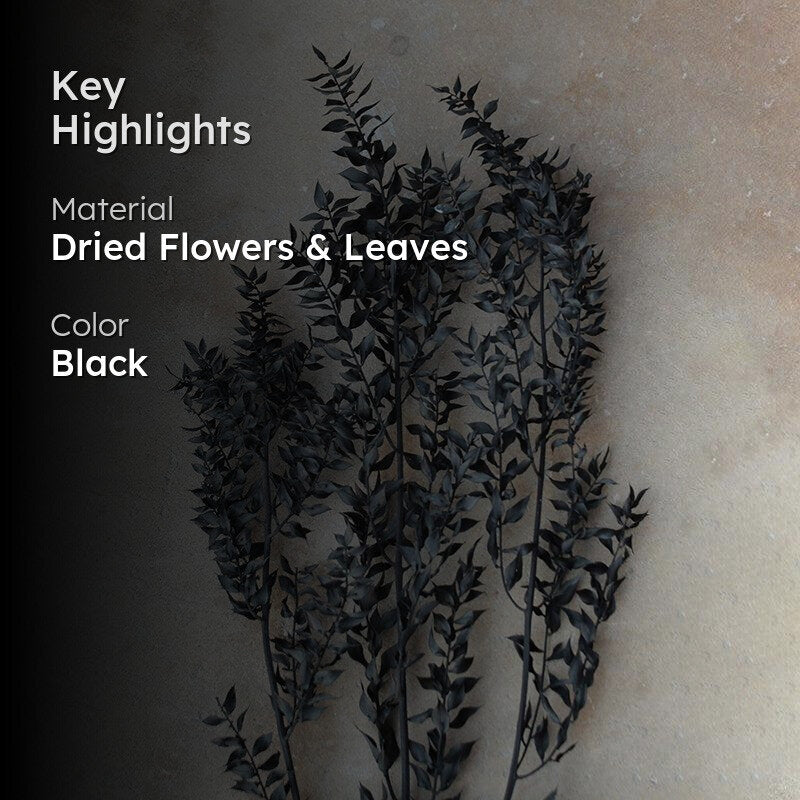 Dried Ruscus Bunch (Black) - Set Of Three media 2