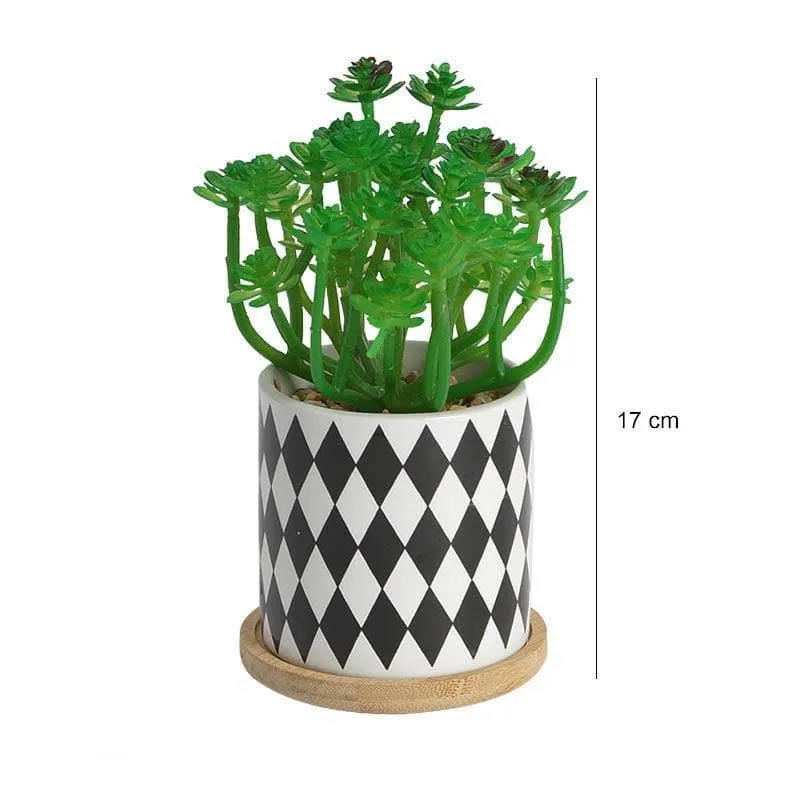 Faux Crassula In Checkered Pot - 17 cms media 4