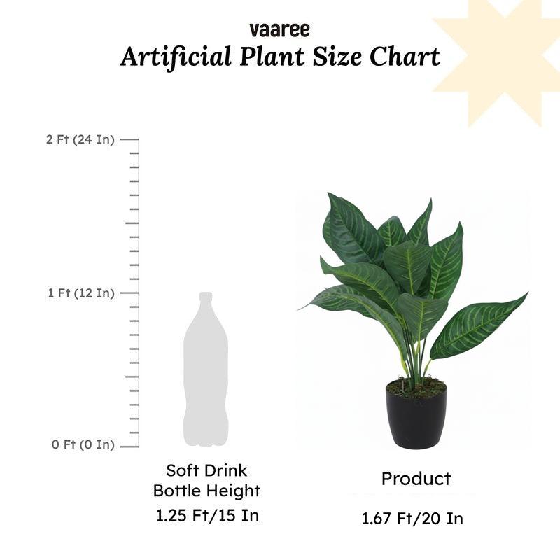 Faux Green Croton Plant With Black Plastic Pot (50 cms) - Set Of Two media 6