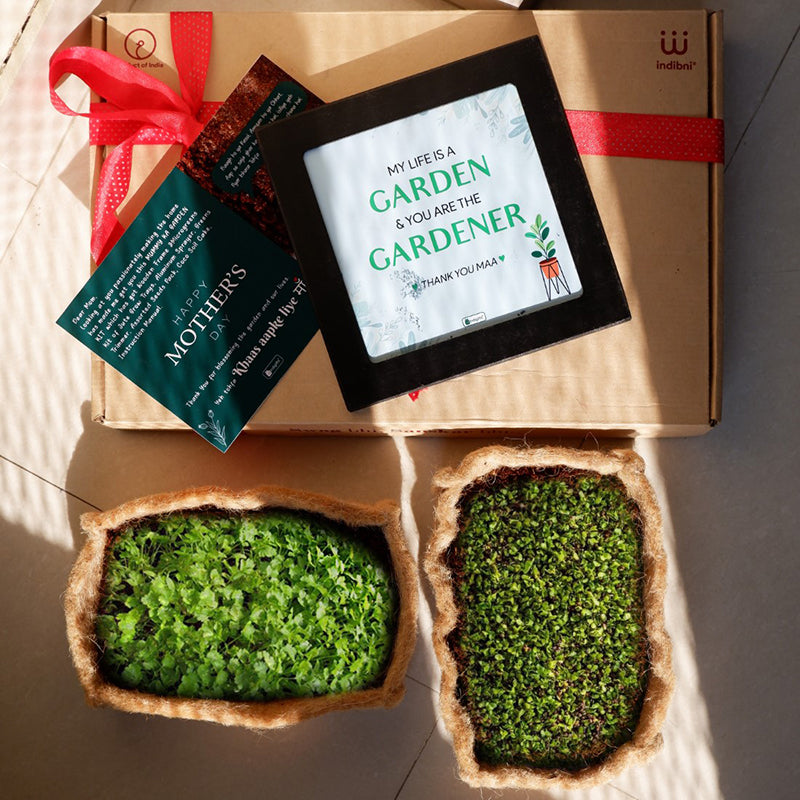 Garden Stater Gift Box media 4