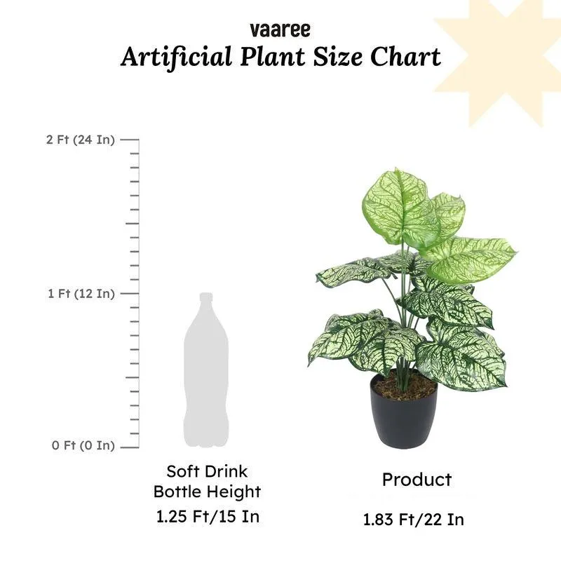 Faux Lush Light Green Monstera Plant With Black Plastic Pot - 1.8 Feet media 6