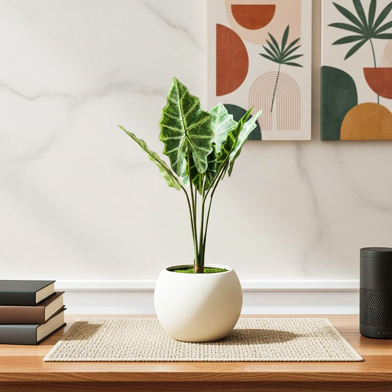 HomeBloom Artificial Alocasia Plant With Black Plastic Pot - 2 Feet