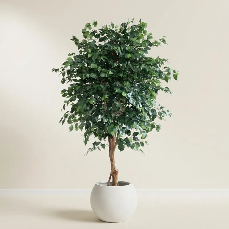 Verdant Calm Artificial Plant With Black Plastic Pot - 7.4 ft media 3