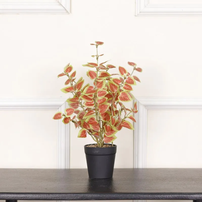Artificial Coleous Plant With Black Fiber Pot (Orange) - 1 Feet media 3