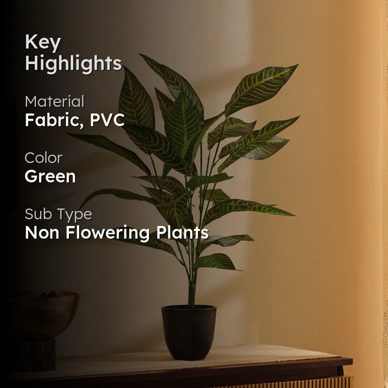 Artificial Croton Faux Plant Without Pot (2 Ft) - Set Of Two media 2