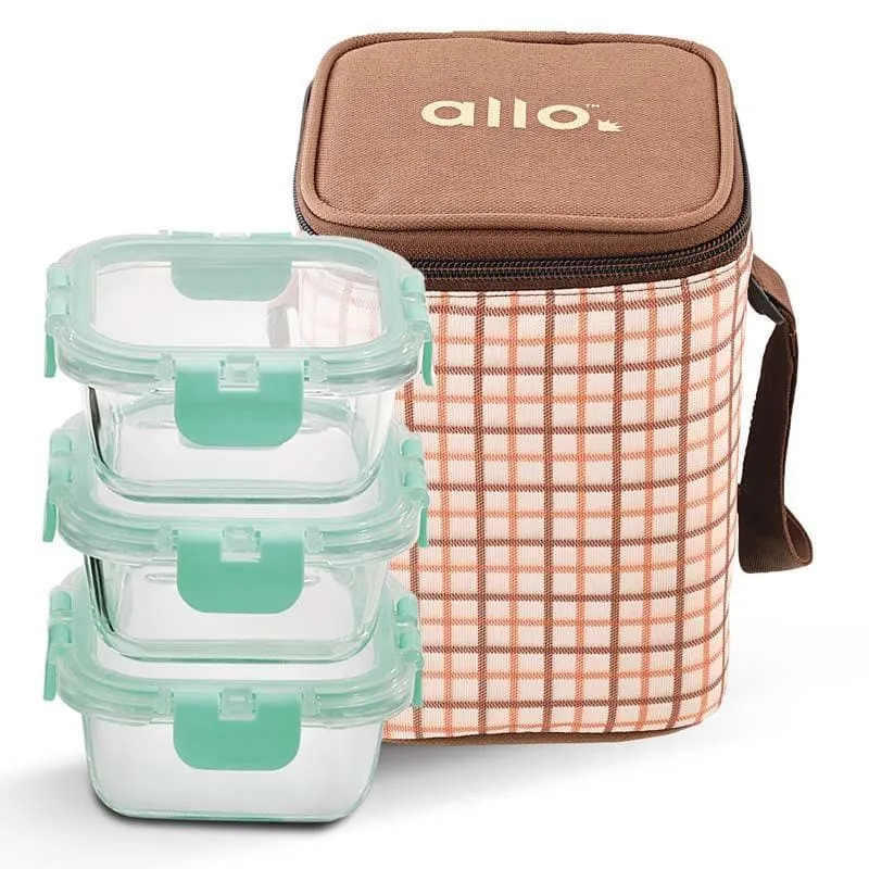Jonas Lunchbox With Square Checks Bag (310 ML) - Set Of Three media 5