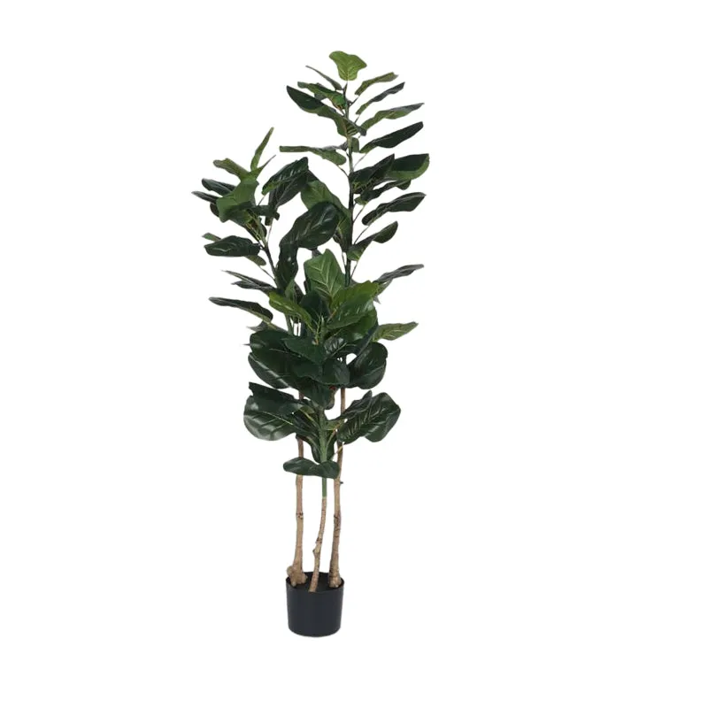 Modern Lush Fiddle Leaf Fig Plant With Black Fiber Pot - 4.6 Feet media 4