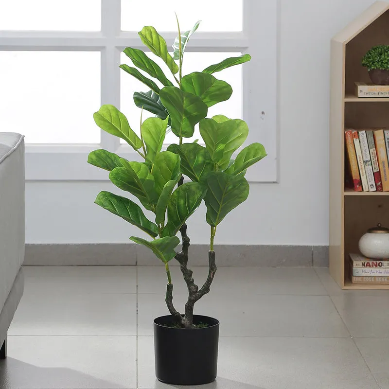 Faux Fiddle Fig Plant With Black Plastic Pot - 2.9 Feet media 3