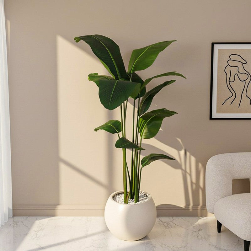 Verdiq Artificial Banana Plant With Black Plastic Pot - 6 Feet
