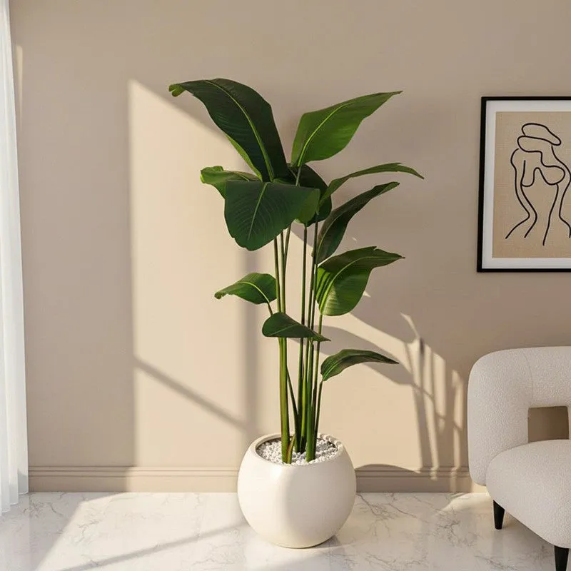 Verdiq Artificial Banana Plant With Black Plastic Pot - 6 Feet media 1
