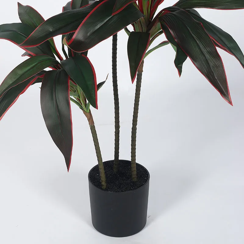 Edora Artificial Dracaena With Black Plastic Pot - 4 Feet media 5