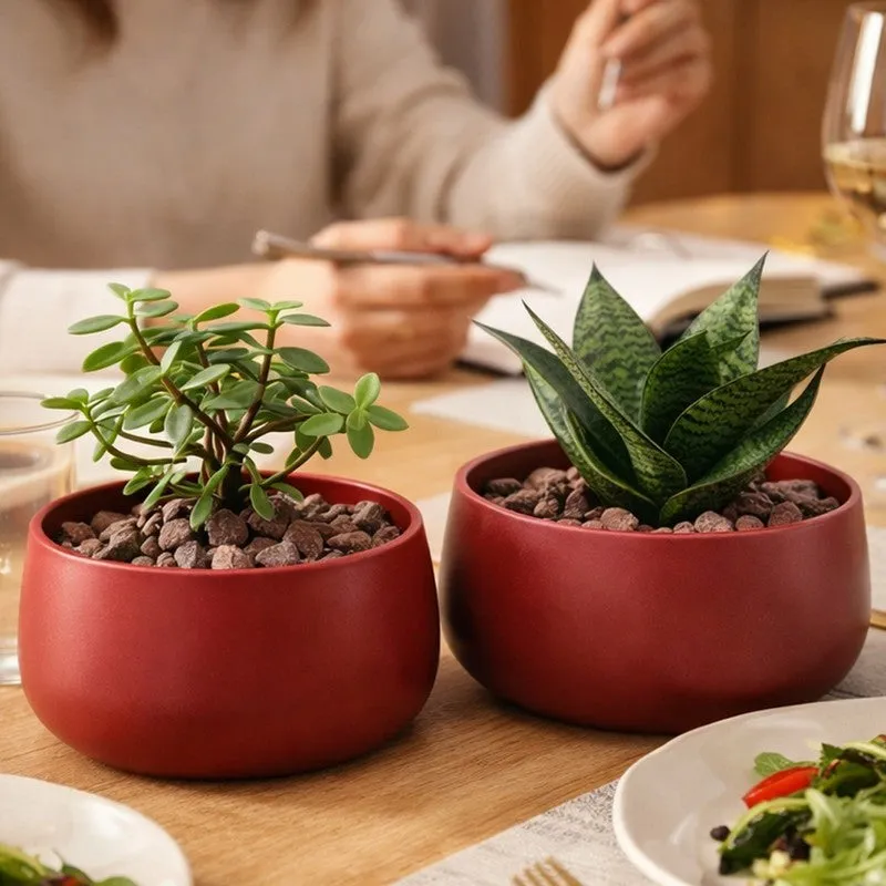 MinimalAura Pots & Planters (Red) - Set of Two media 7