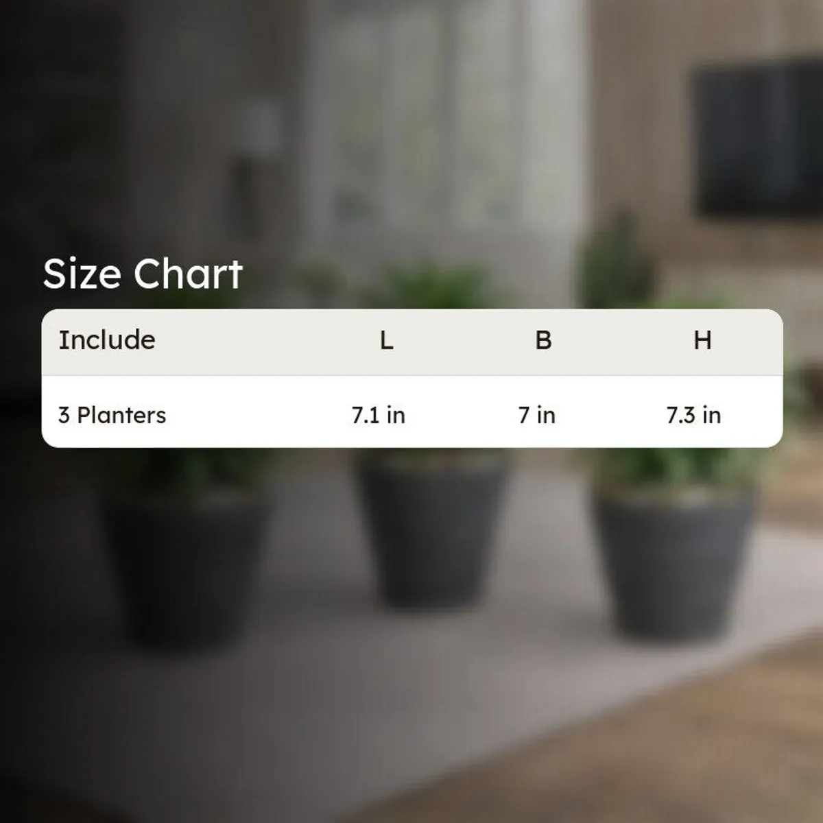 Three grey planters arranged together on a mat in a modern room