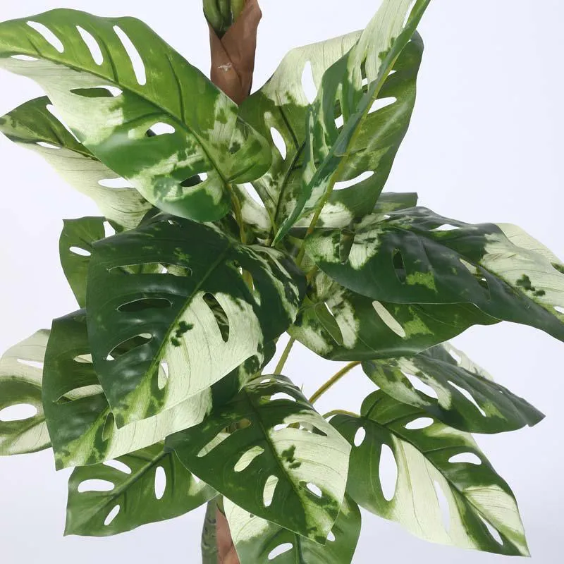 Faux Lush Variegated Monstera Plant With Black Plastic Pot - 4.8 Feet media 4