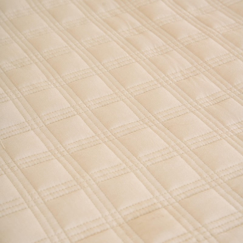 CozyCore Solid Cotton Comforter (Beige) - 200 GSM media 5