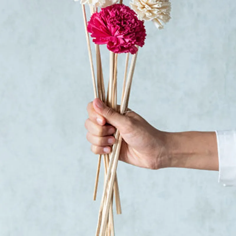 Berta Carnation Sola Flower Stick (Pink & White) - Set Of Ten media 5