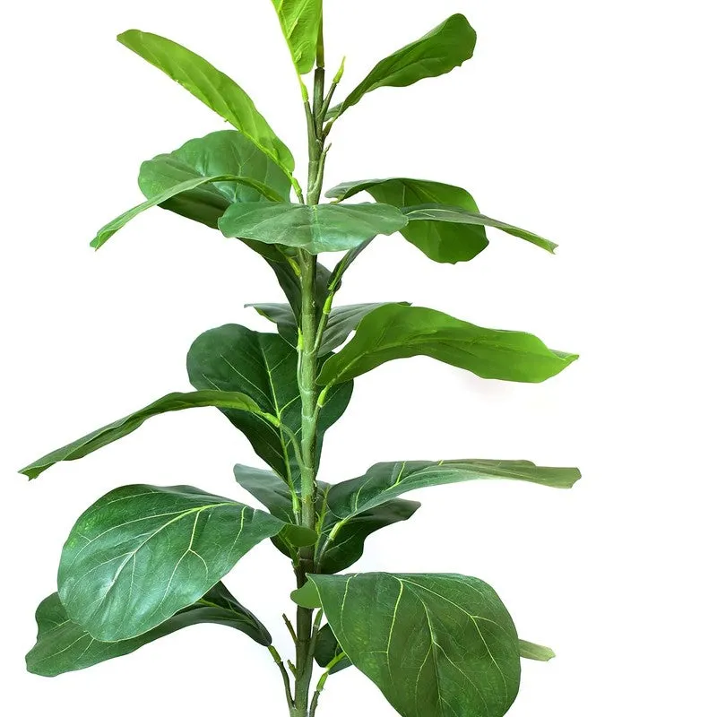 Lushe Artificial Fiddle Fig Plant With Black Plastic Pot - 2.3 Feet media 3