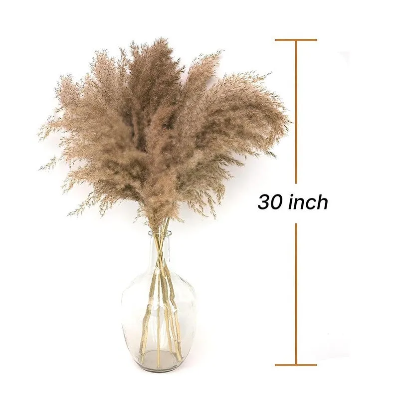 Savannah Artificial Pampas Stem (Brown) - Set Of Four media 7